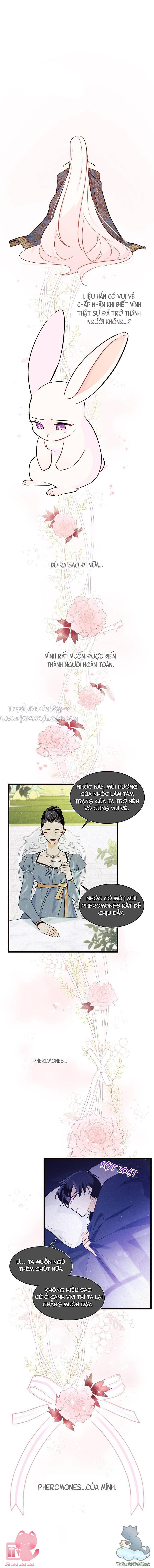 Quan Hệ Cộng Sinh Giữa Báo Đen Và Thỏ Trắng - Chap 22 - Trang 34