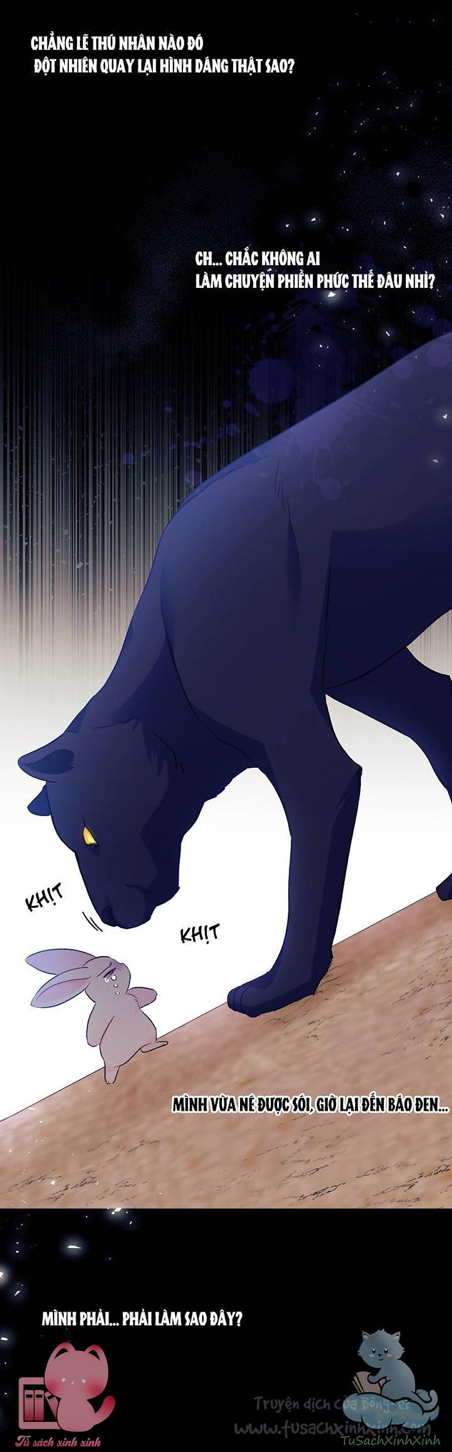 Quan Hệ Cộng Sinh Giữa Báo Đen Và Thỏ Trắng - Chap 23 - Trang 15