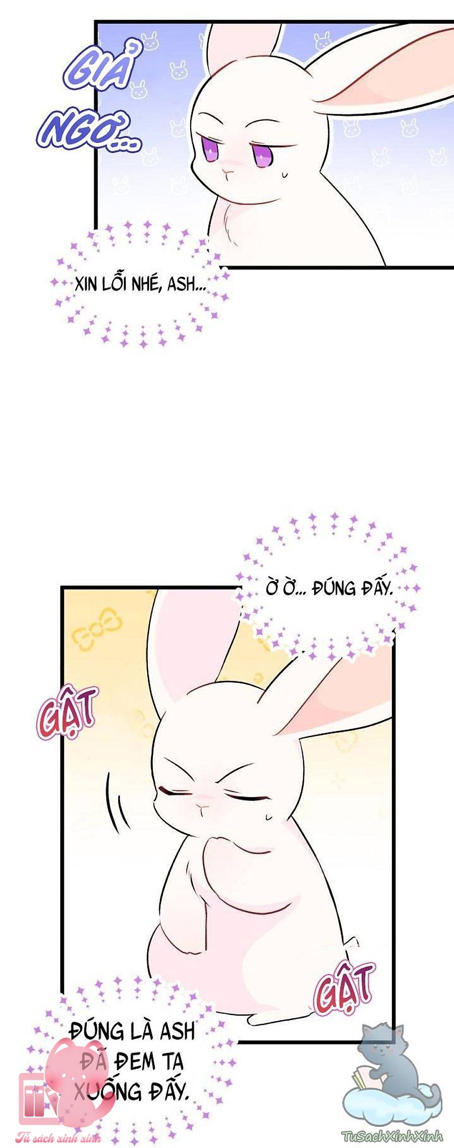 Quan Hệ Cộng Sinh Giữa Báo Đen Và Thỏ Trắng - Chap 25 - Trang 19