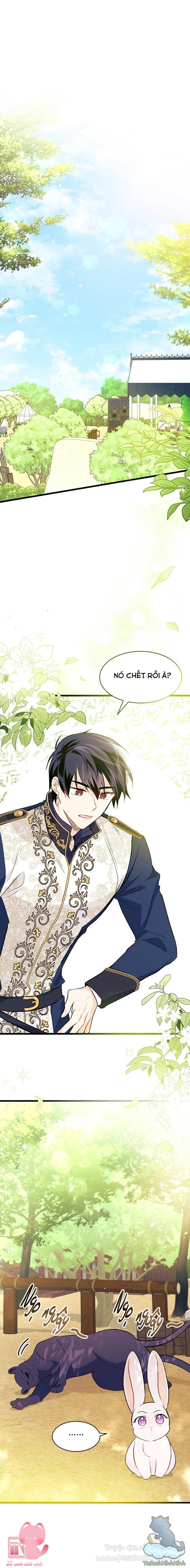 Quan Hệ Cộng Sinh Giữa Báo Đen Và Thỏ Trắng - Chap 26 - Trang 24