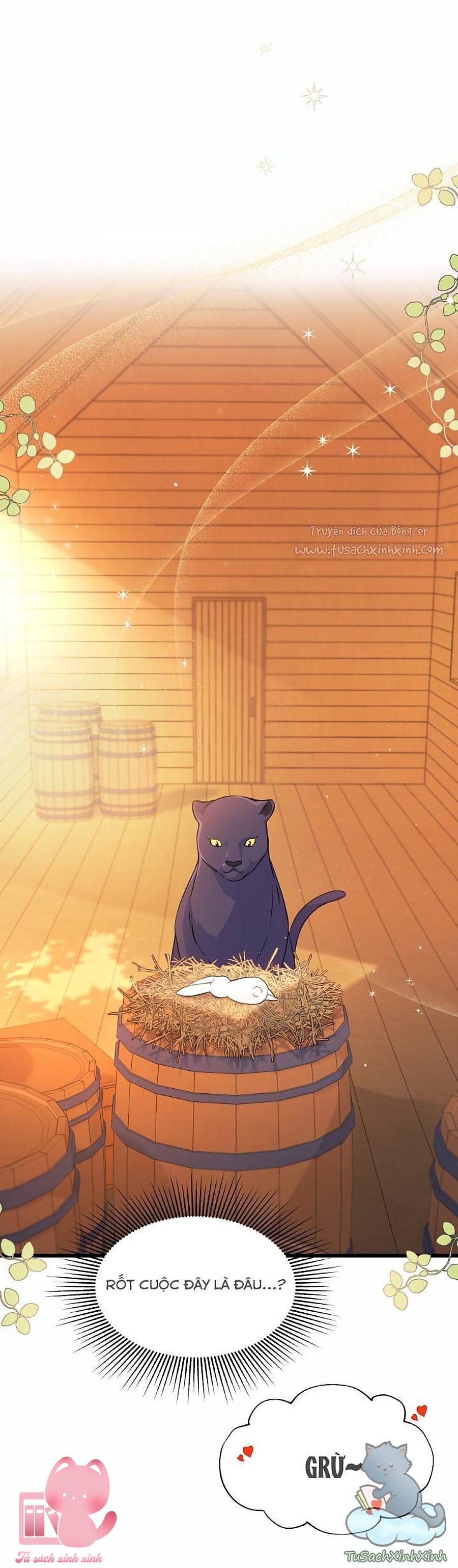 Quan Hệ Cộng Sinh Giữa Báo Đen Và Thỏ Trắng - Chap 28 - Trang 7
