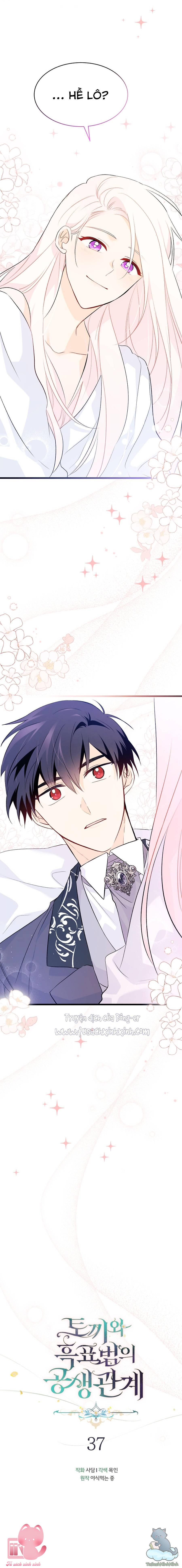 Quan Hệ Cộng Sinh Giữa Báo Đen Và Thỏ Trắng - Chap 37 - Trang 3