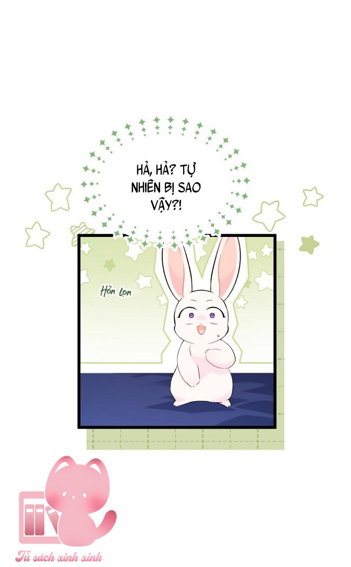 Quan Hệ Cộng Sinh Giữa Báo Đen Và Thỏ Trắng - Chap 47 - Trang 12