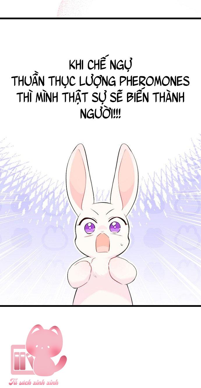 Quan Hệ Cộng Sinh Giữa Báo Đen Và Thỏ Trắng - Chap 47 - Trang 65