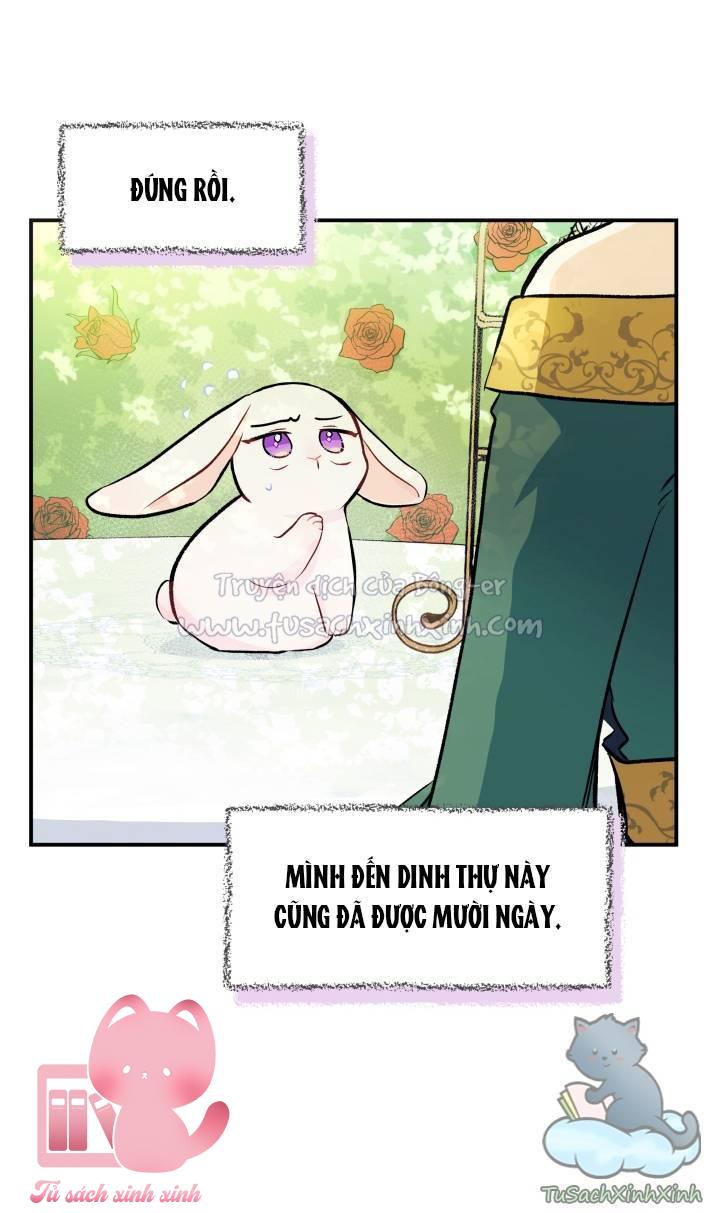 Quan Hệ Cộng Sinh Giữa Báo Đen Và Thỏ Trắng - Chap 5 - Trang 11