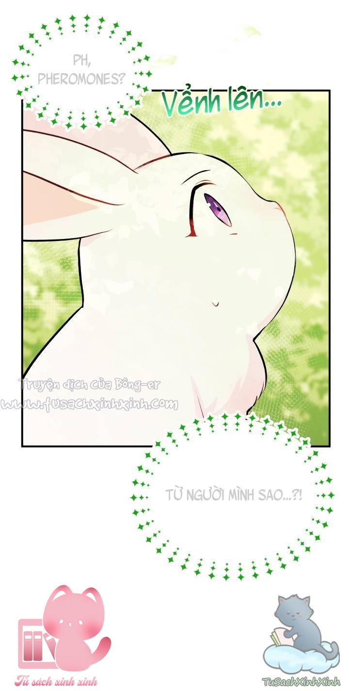 Quan Hệ Cộng Sinh Giữa Báo Đen Và Thỏ Trắng - Chap 5 - Trang 25
