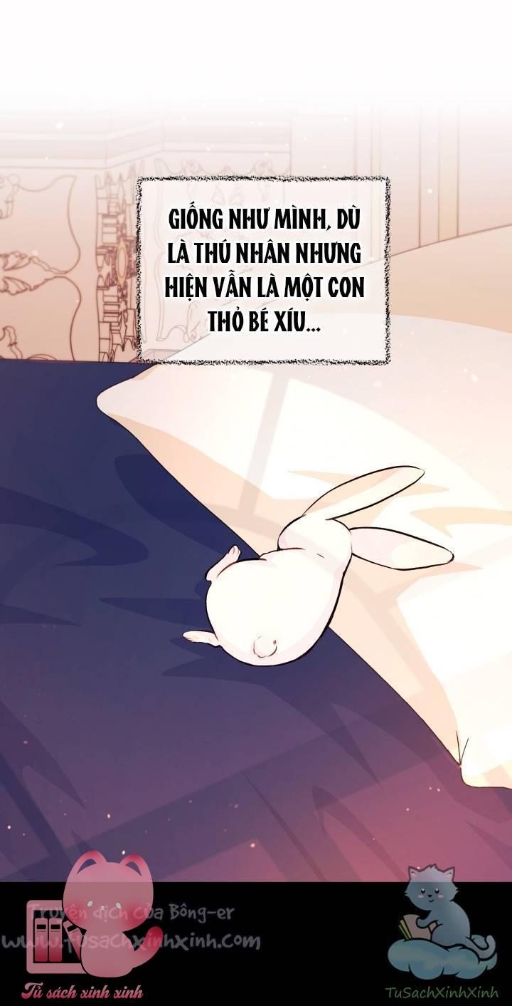 Quan Hệ Cộng Sinh Giữa Báo Đen Và Thỏ Trắng - Chap 5 - Trang 31