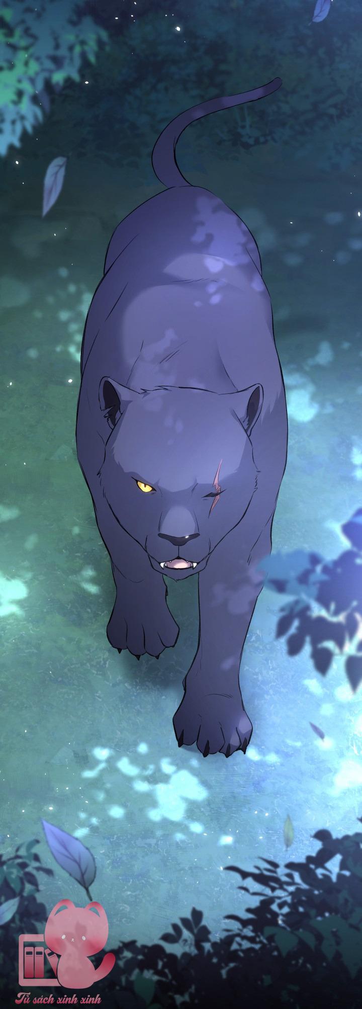 Quan Hệ Cộng Sinh Giữa Báo Đen Và Thỏ Trắng - Chap 50 - Trang 14