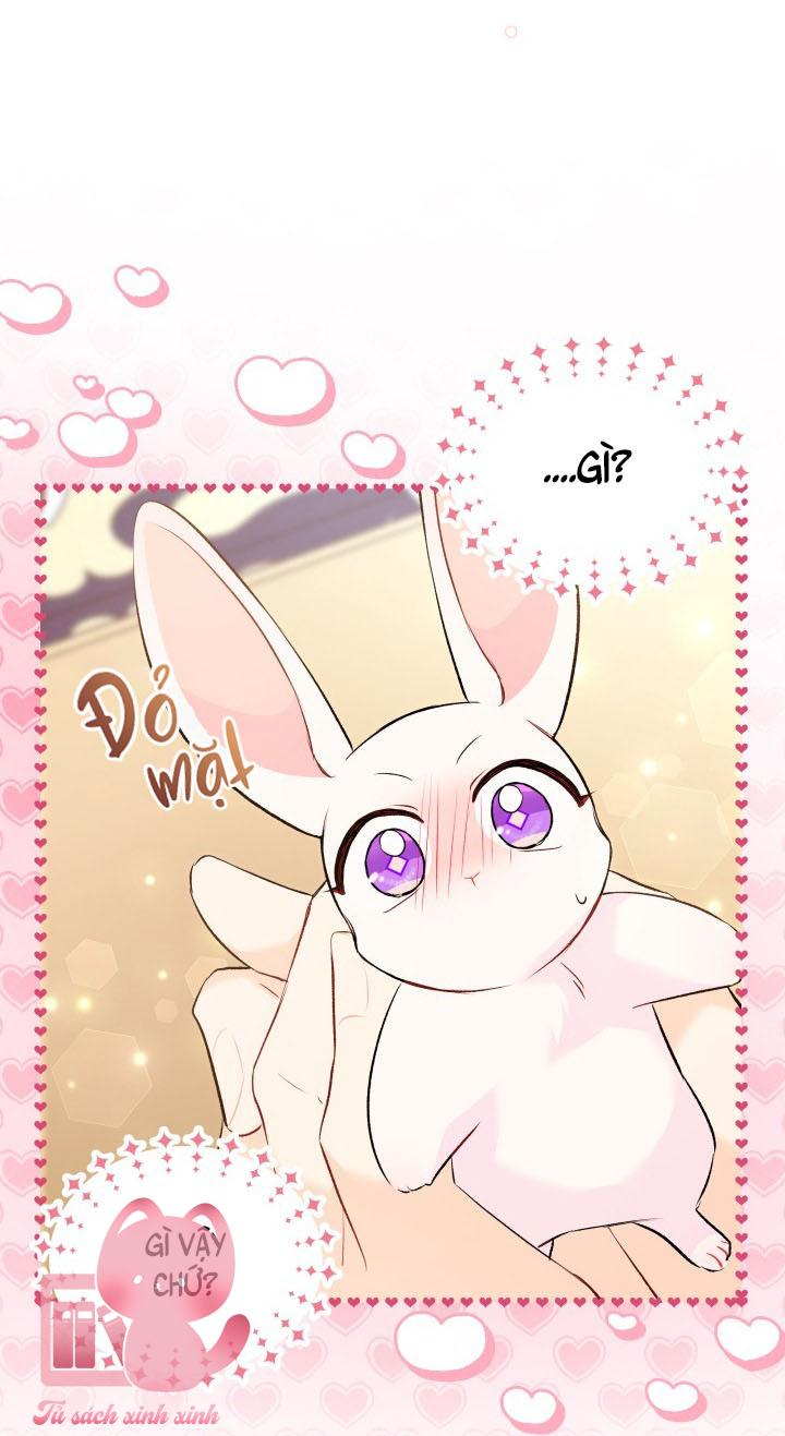 Quan Hệ Cộng Sinh Giữa Báo Đen Và Thỏ Trắng - Chap 56 - Trang 71
