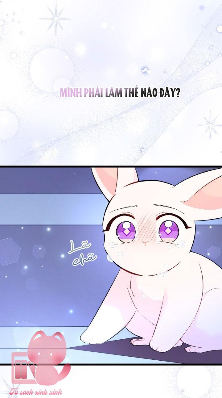 Quan Hệ Cộng Sinh Giữa Báo Đen Và Thỏ Trắng - Chap 58 - Trang 56