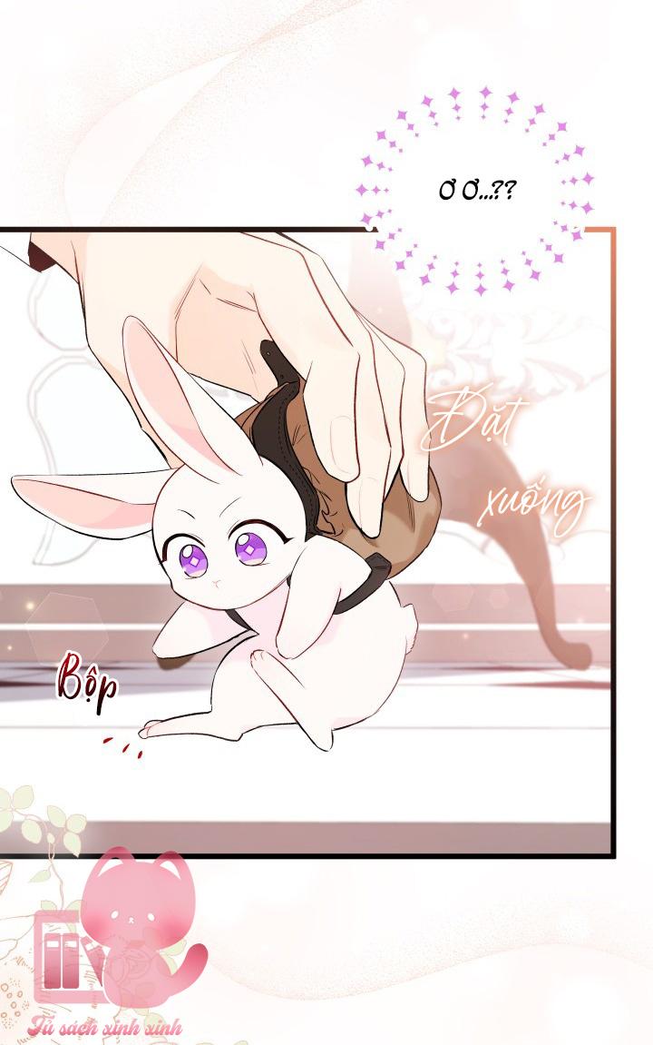 Quan Hệ Cộng Sinh Giữa Báo Đen Và Thỏ Trắng - Chap 59 - Trang 21