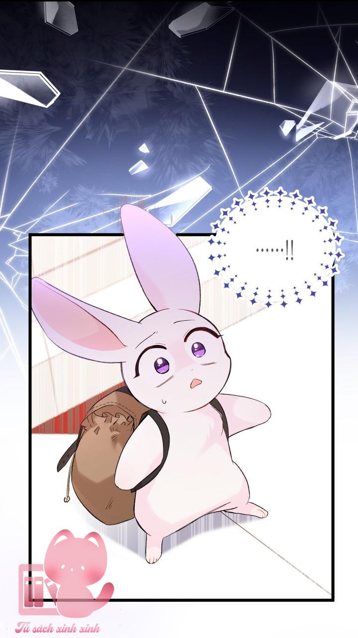 Quan Hệ Cộng Sinh Giữa Báo Đen Và Thỏ Trắng - Chap 59 - Trang 35
