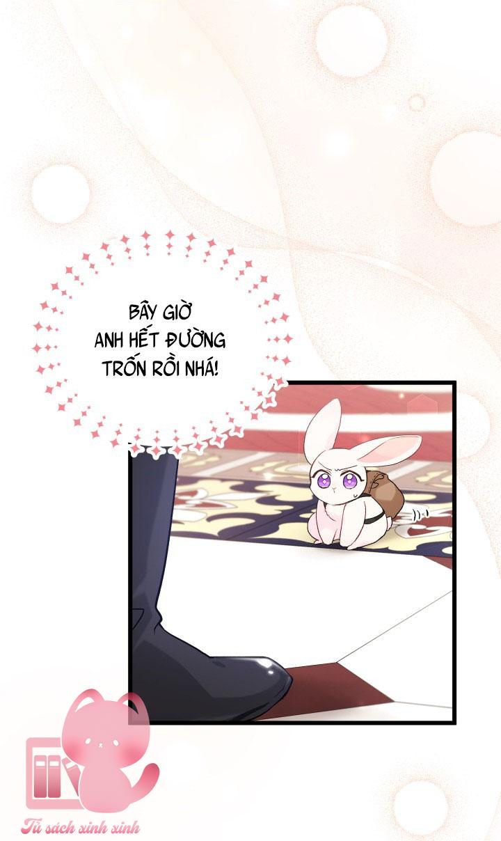Quan Hệ Cộng Sinh Giữa Báo Đen Và Thỏ Trắng - Chap 59 - Trang 38