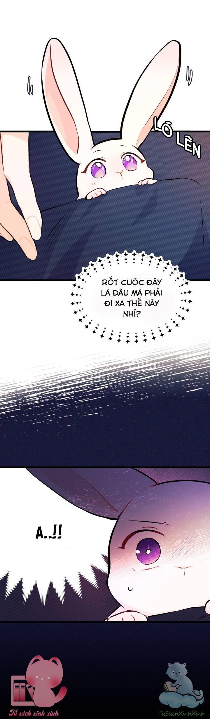Quan Hệ Cộng Sinh Giữa Báo Đen Và Thỏ Trắng - Chap 6 - Trang 47