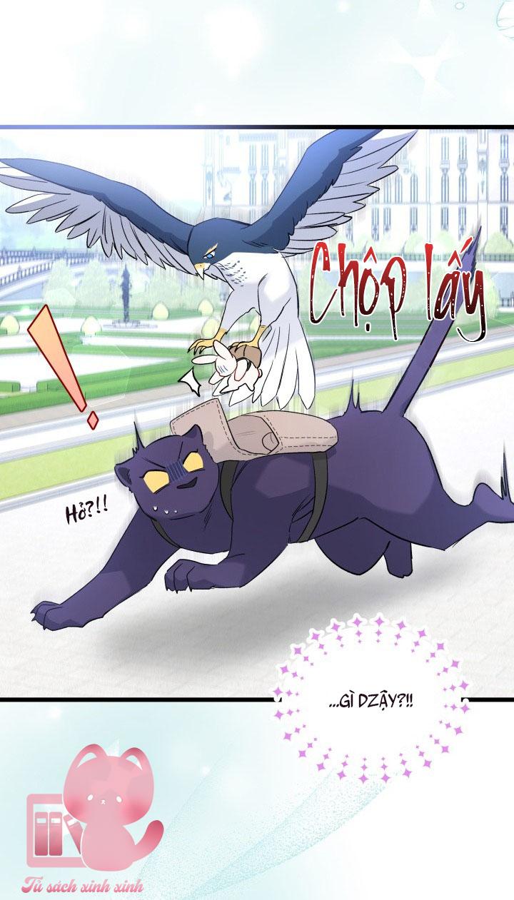 Quan Hệ Cộng Sinh Giữa Báo Đen Và Thỏ Trắng - Chap 60 - Trang 33