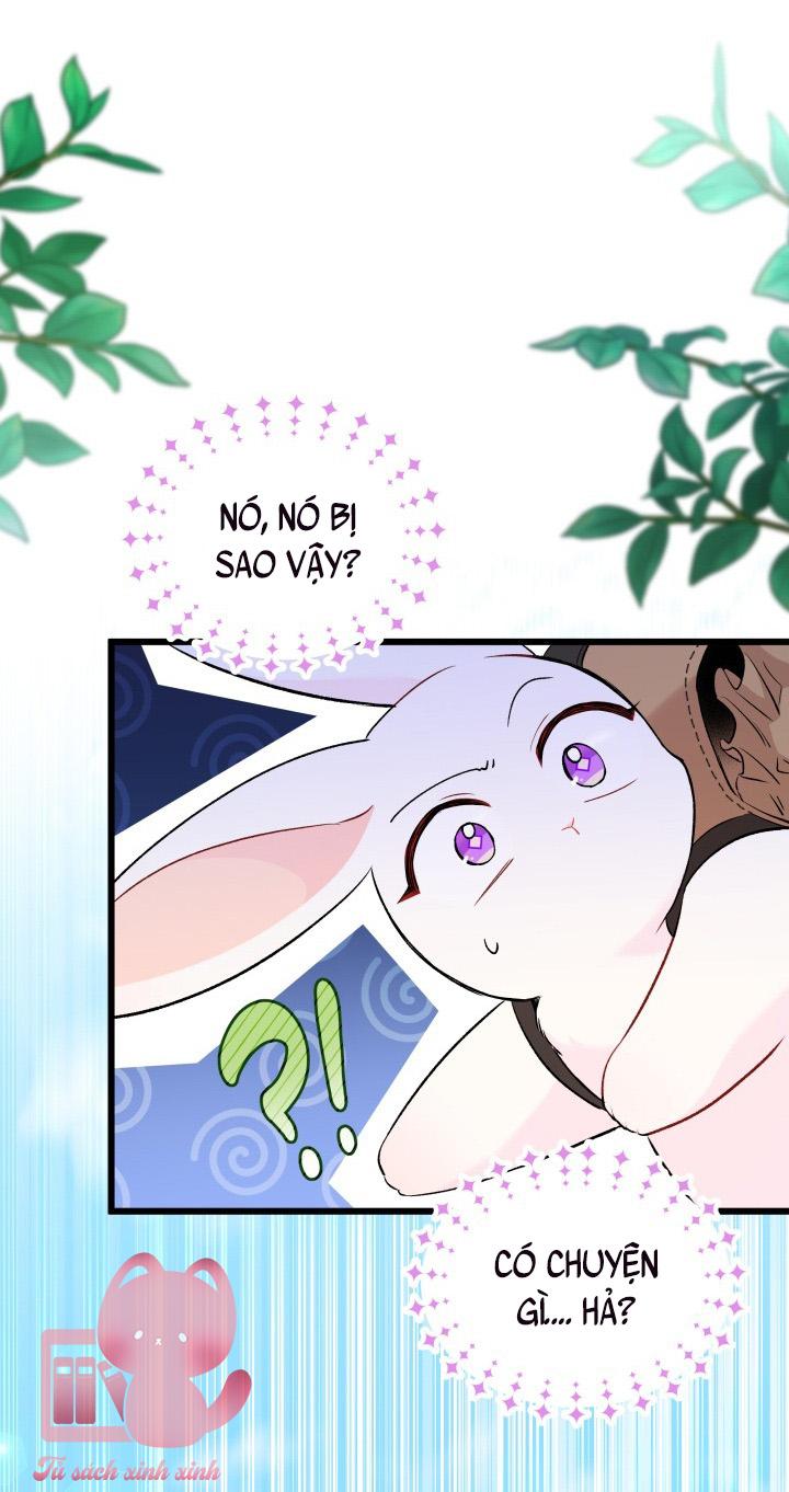 Quan Hệ Cộng Sinh Giữa Báo Đen Và Thỏ Trắng - Chap 60 - Trang 40