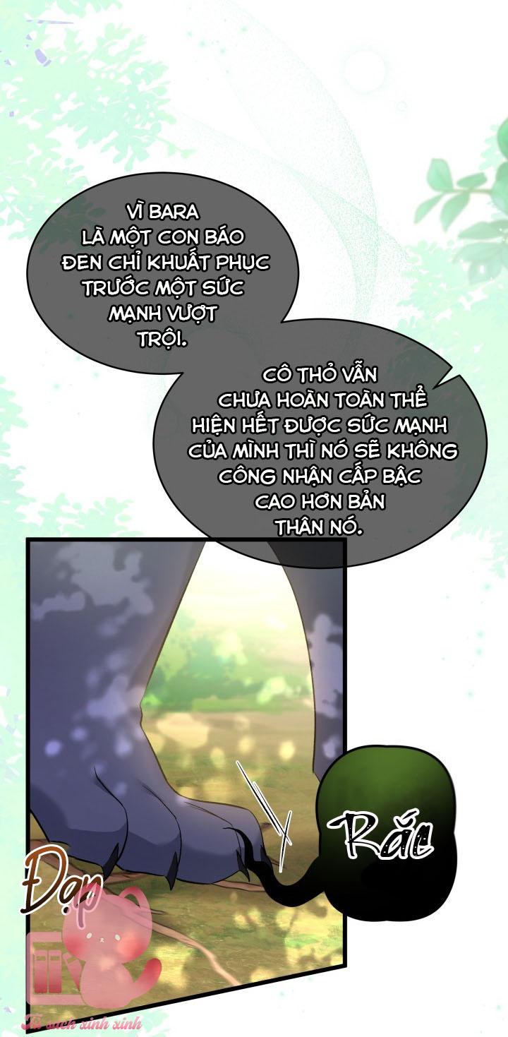Quan Hệ Cộng Sinh Giữa Báo Đen Và Thỏ Trắng - Chap 61 - Trang 21