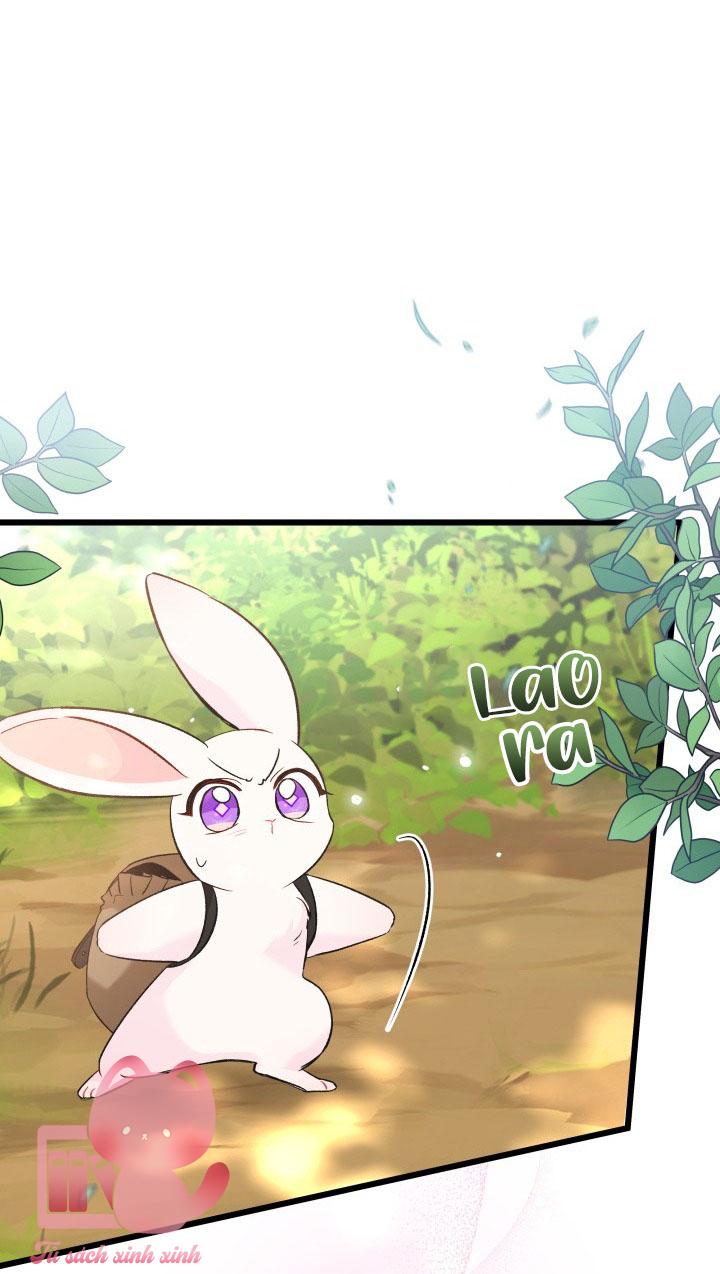 Quan Hệ Cộng Sinh Giữa Báo Đen Và Thỏ Trắng - Chap 61 - Trang 41
