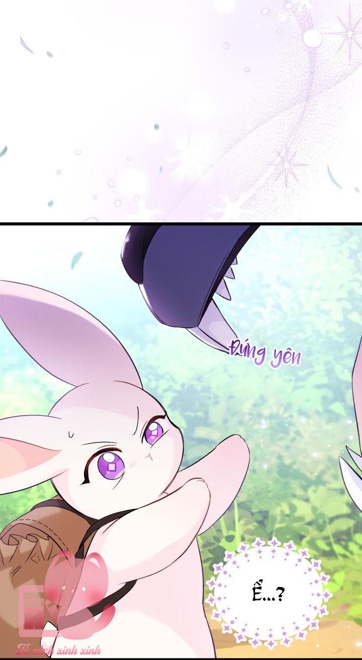 Quan Hệ Cộng Sinh Giữa Báo Đen Và Thỏ Trắng - Chap 61 - Trang 67