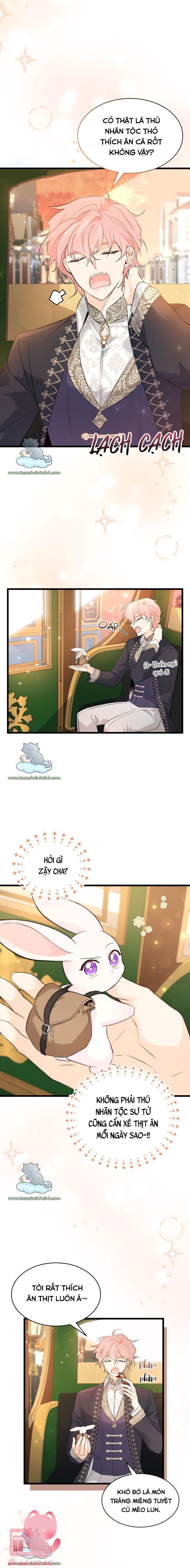 Quan Hệ Cộng Sinh Giữa Báo Đen Và Thỏ Trắng - Chap 62 - Trang 2