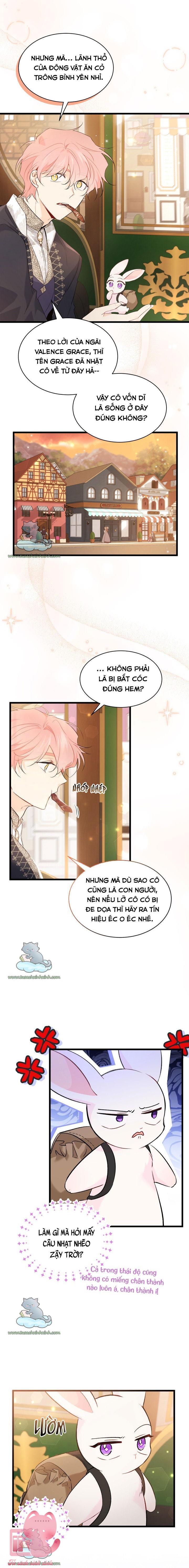 Quan Hệ Cộng Sinh Giữa Báo Đen Và Thỏ Trắng - Chap 62 - Trang 3
