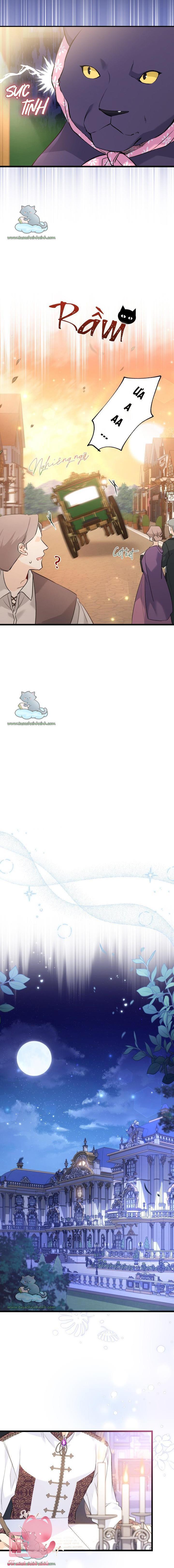 Quan Hệ Cộng Sinh Giữa Báo Đen Và Thỏ Trắng - Chap 62 - Trang 7