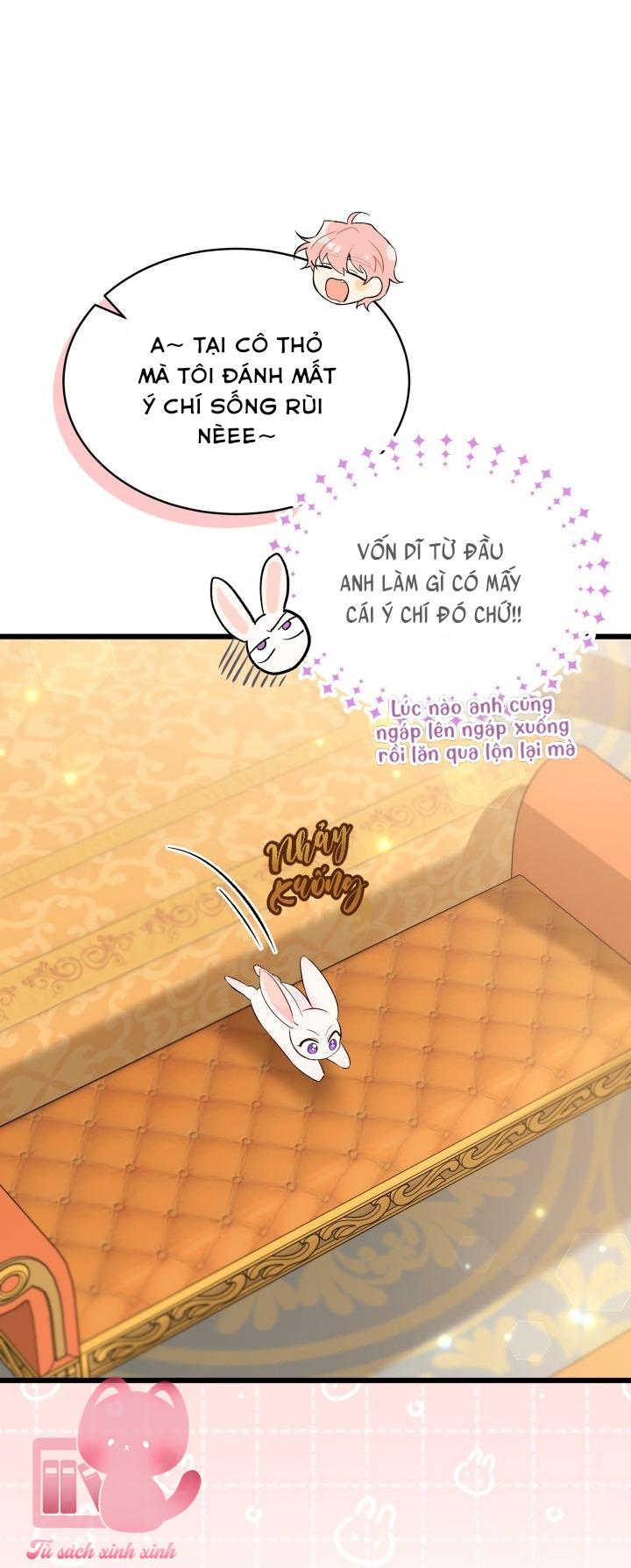 Quan Hệ Cộng Sinh Giữa Báo Đen Và Thỏ Trắng - Chap 63 - Trang 17