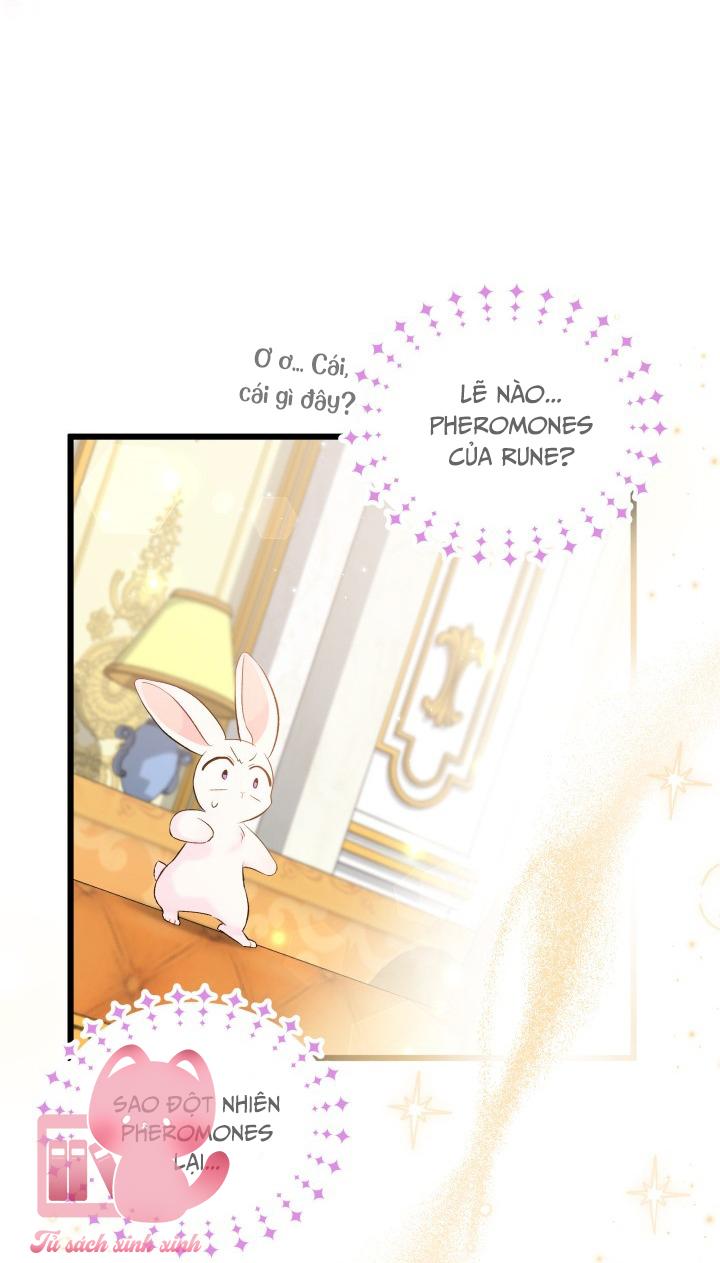 Quan Hệ Cộng Sinh Giữa Báo Đen Và Thỏ Trắng - Chap 63 - Trang 25