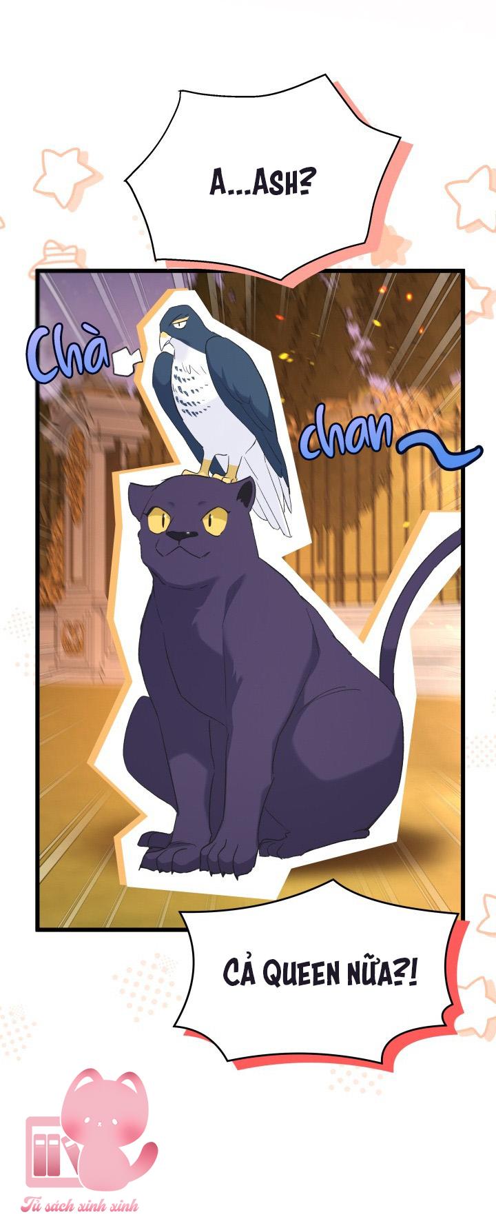 Quan Hệ Cộng Sinh Giữa Báo Đen Và Thỏ Trắng - Chap 68 - Trang 26