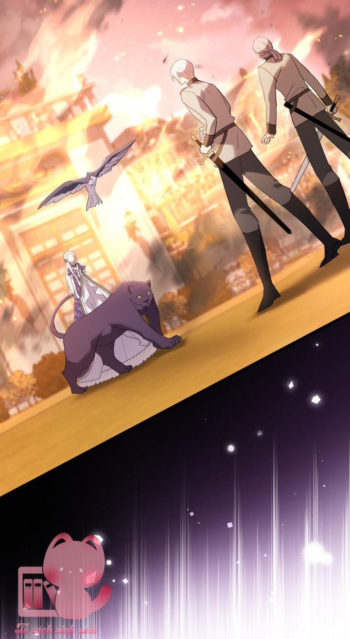Quan Hệ Cộng Sinh Giữa Báo Đen Và Thỏ Trắng - Chap 68 - Trang 35