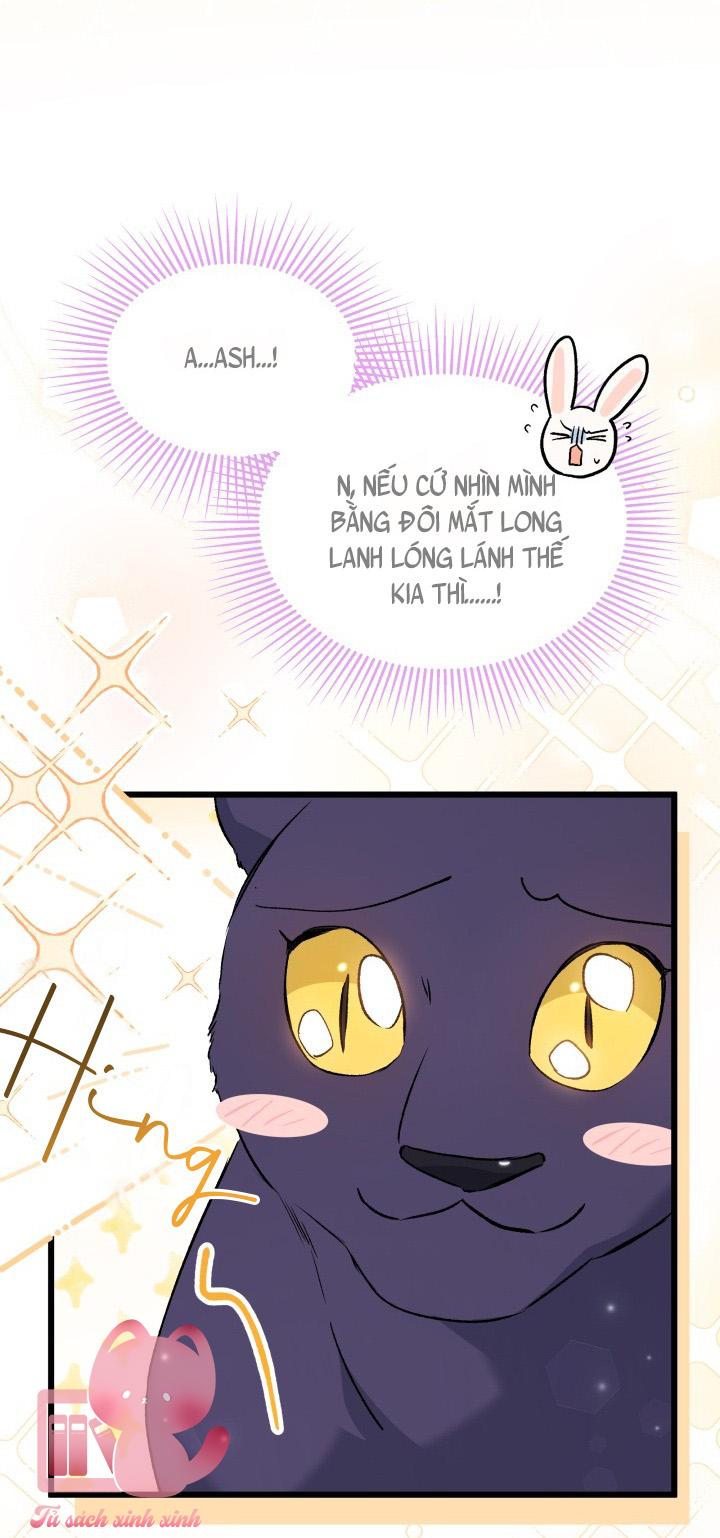 Quan Hệ Cộng Sinh Giữa Báo Đen Và Thỏ Trắng - Chap 72 - Trang 47