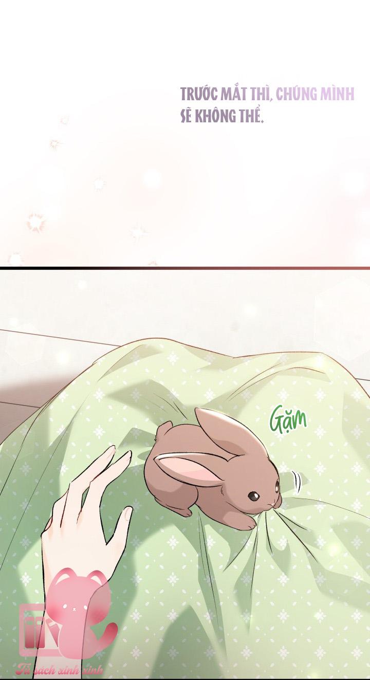 Quan Hệ Cộng Sinh Giữa Báo Đen Và Thỏ Trắng - Chap 75 - Trang 61