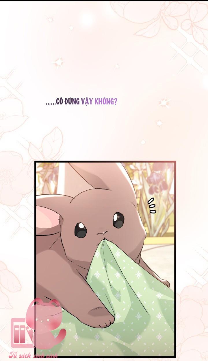 Quan Hệ Cộng Sinh Giữa Báo Đen Và Thỏ Trắng - Chap 75 - Trang 62