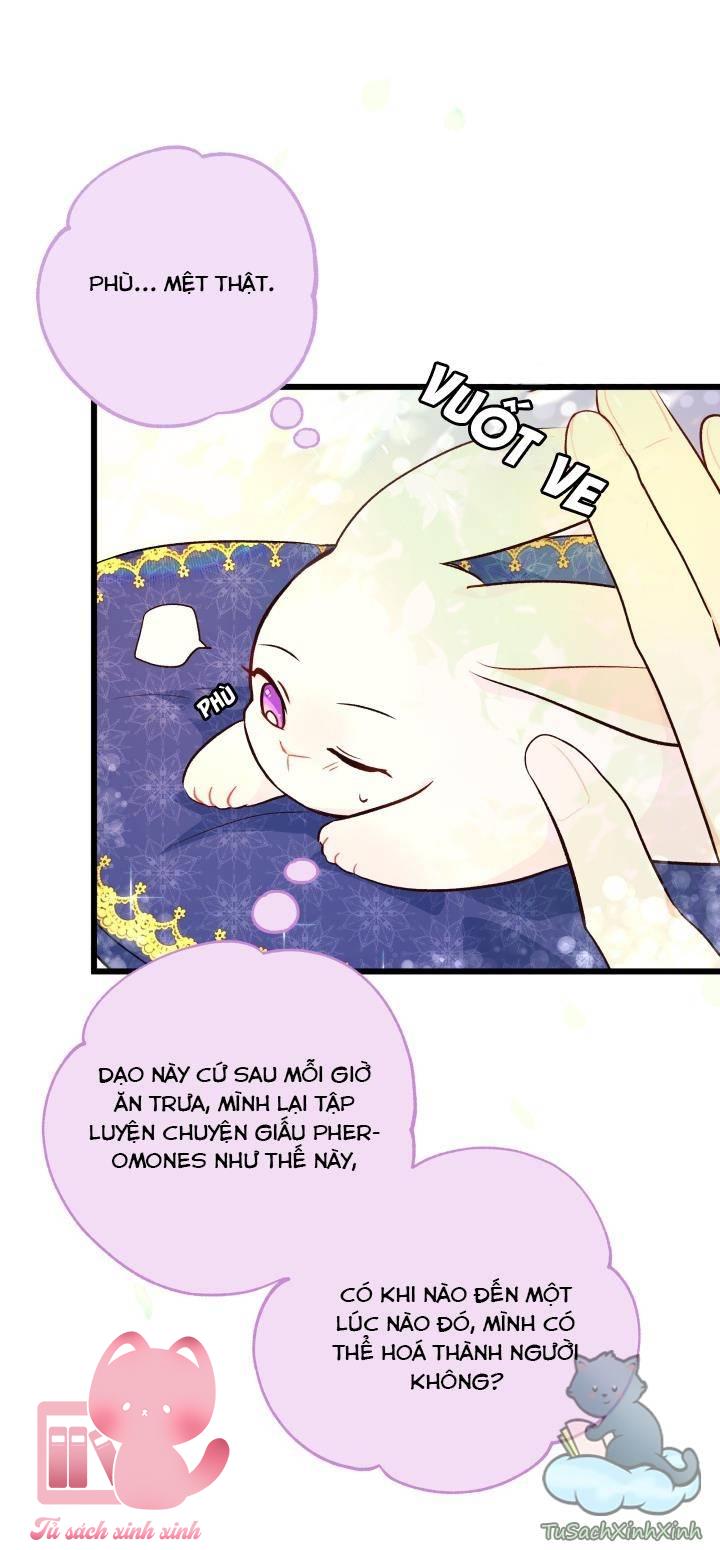 Quan Hệ Cộng Sinh Giữa Báo Đen Và Thỏ Trắng - Chap 8 - Trang 11