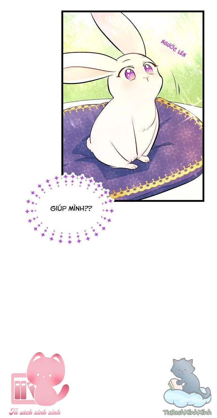 Quan Hệ Cộng Sinh Giữa Báo Đen Và Thỏ Trắng - Chap 8 - Trang 16