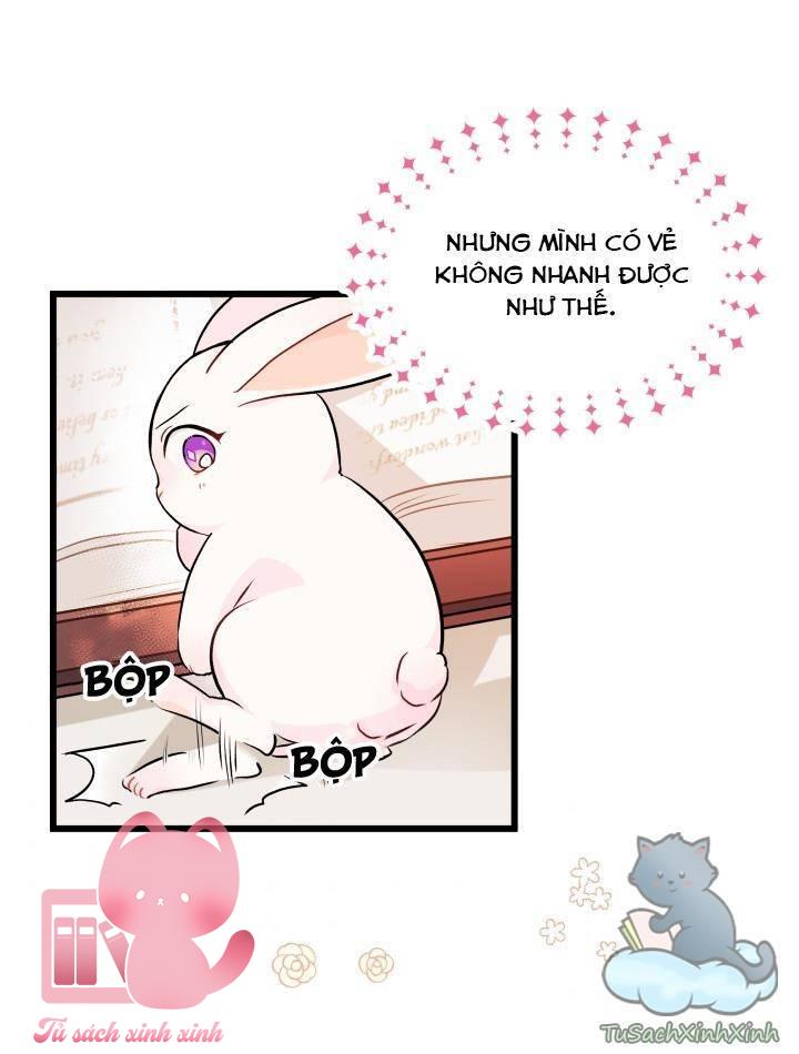 Quan Hệ Cộng Sinh Giữa Báo Đen Và Thỏ Trắng - Chap 8 - Trang 23