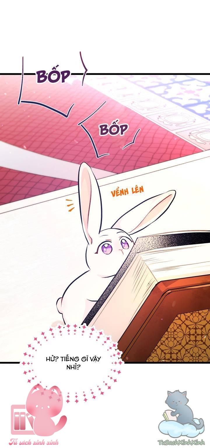Quan Hệ Cộng Sinh Giữa Báo Đen Và Thỏ Trắng - Chap 8 - Trang 28