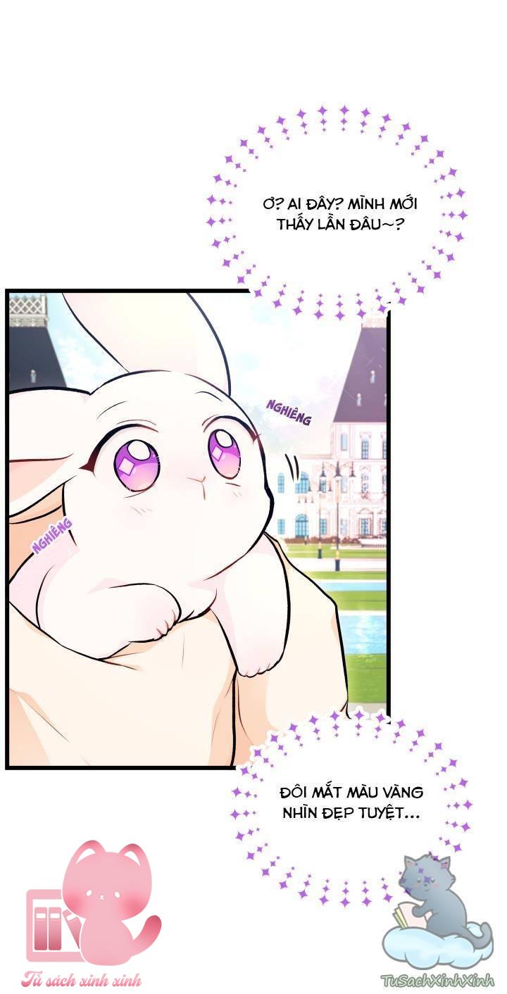 Quan Hệ Cộng Sinh Giữa Báo Đen Và Thỏ Trắng - Chap 8 - Trang 51