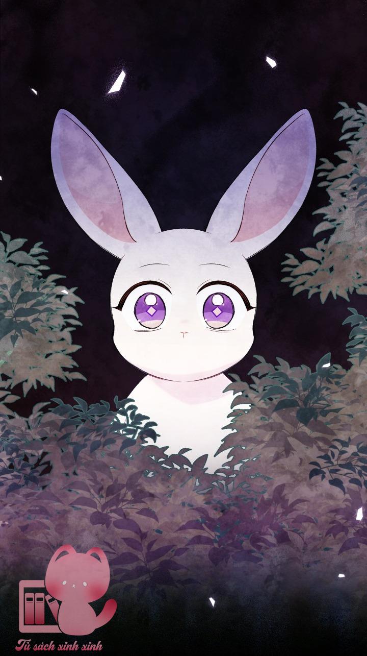 Quan Hệ Cộng Sinh Giữa Báo Đen Và Thỏ Trắng - Chap 82 - Trang 11