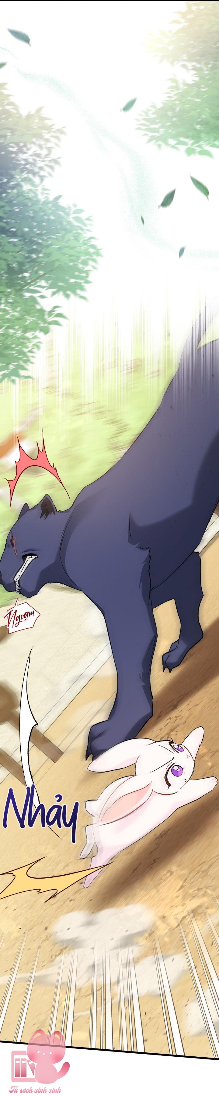 Quan Hệ Cộng Sinh Giữa Báo Đen Và Thỏ Trắng - Chap 82 - Trang 54