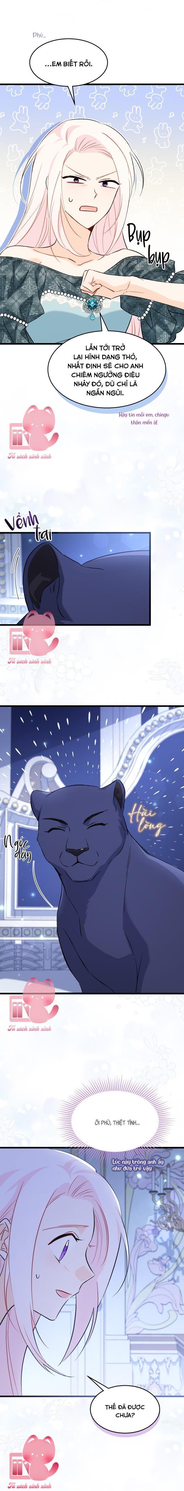 Quan Hệ Cộng Sinh Giữa Báo Đen Và Thỏ Trắng - Chap 92 - Trang 15