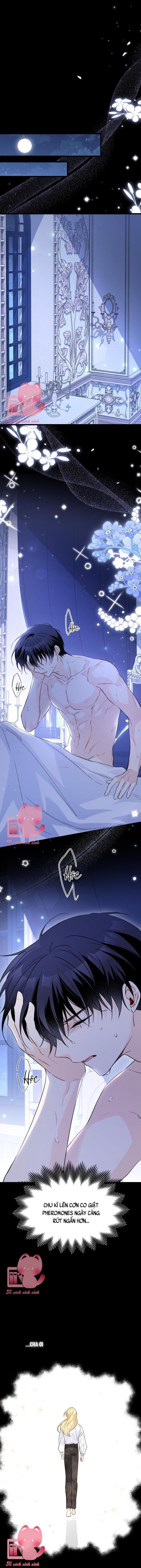 Quan Hệ Cộng Sinh Giữa Báo Đen Và Thỏ Trắng - Chap 92 - Trang 17
