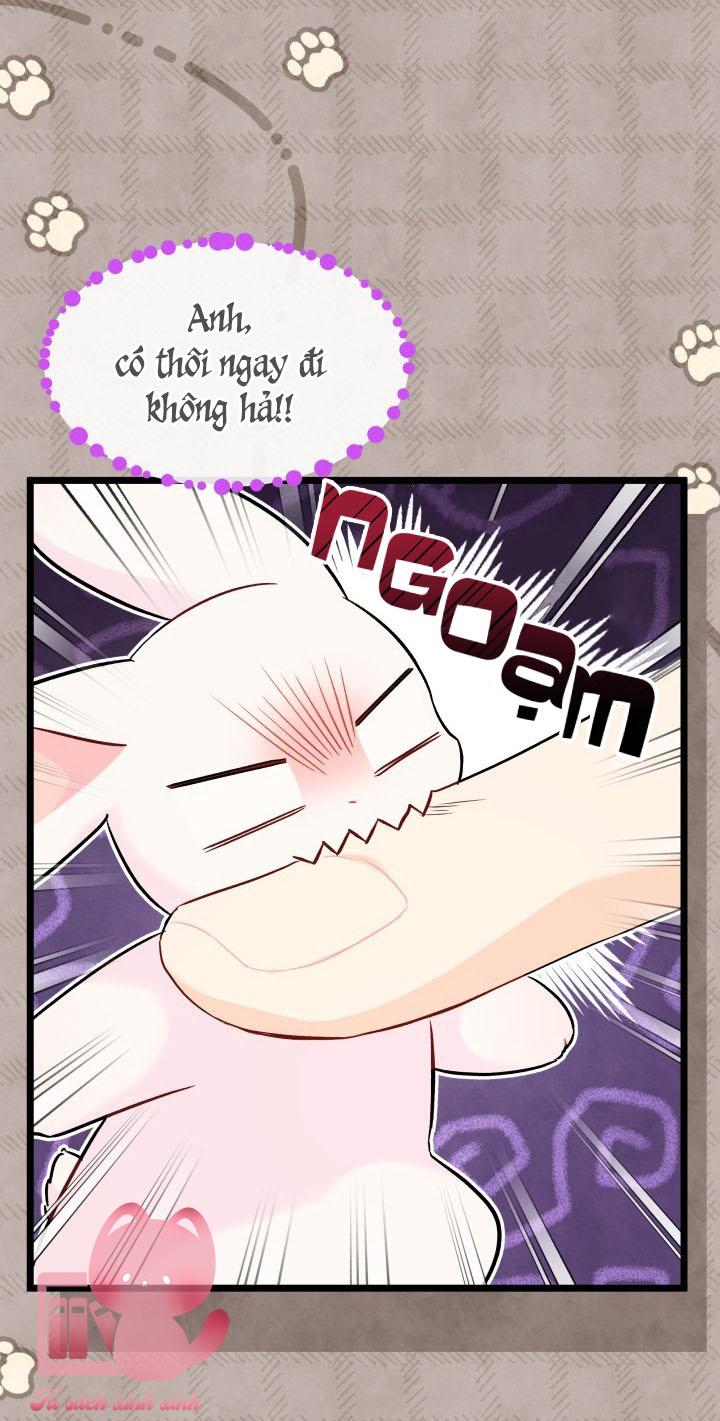 Quan Hệ Cộng Sinh Giữa Báo Đen Và Thỏ Trắng - Chap 97 - Trang 59