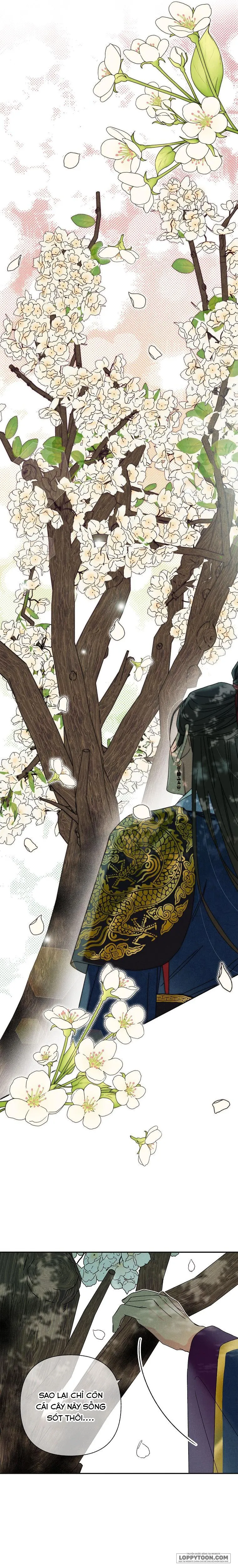 Quốc Hôn - Chap 13 - Trang 2