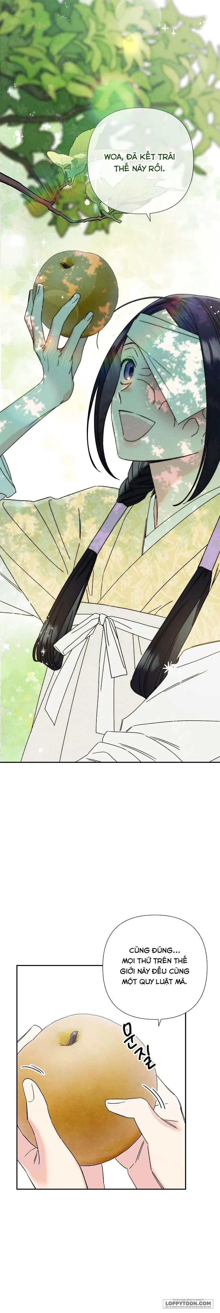 Quốc Hôn - Chap 14 - Trang 2