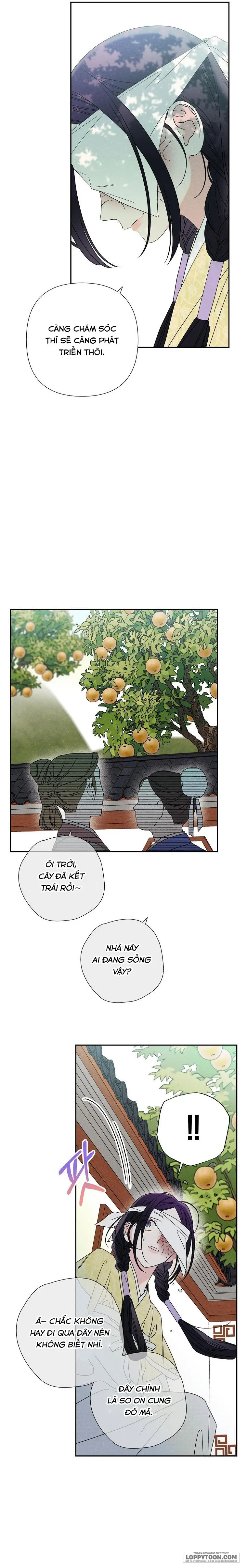 Quốc Hôn - Chap 14 - Trang 3