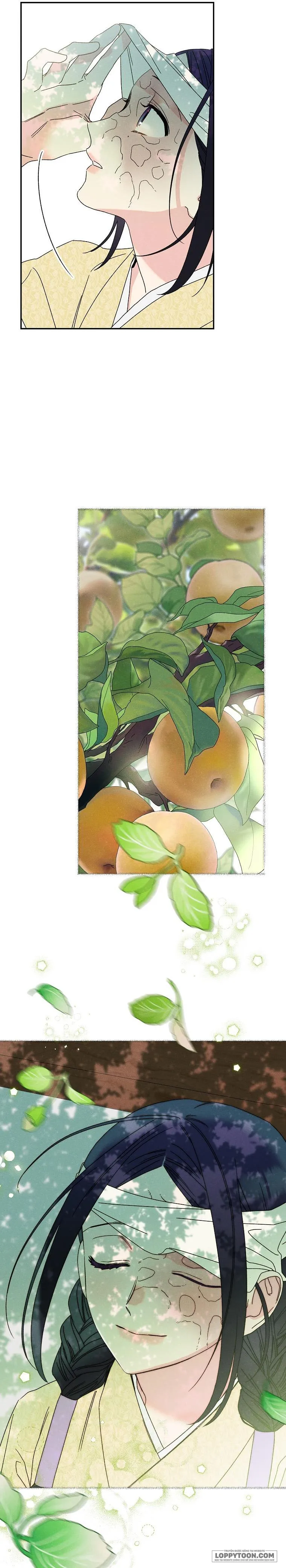 Quốc Hôn - Chap 14 - Trang 5