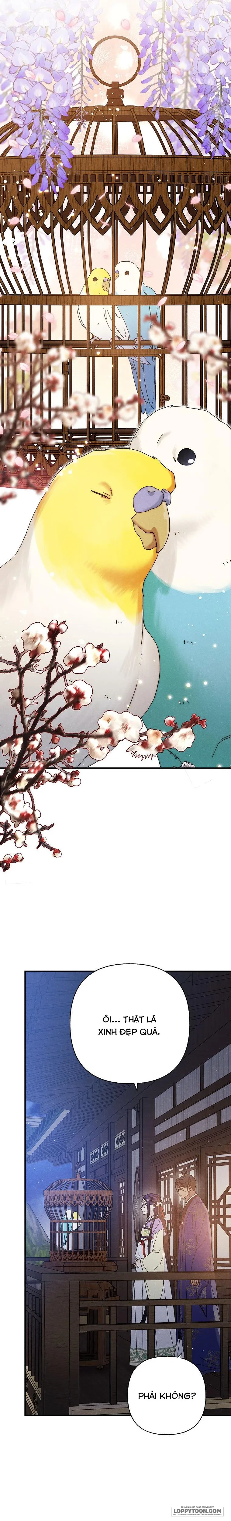 Quốc Hôn - Chap 55 - Trang 13