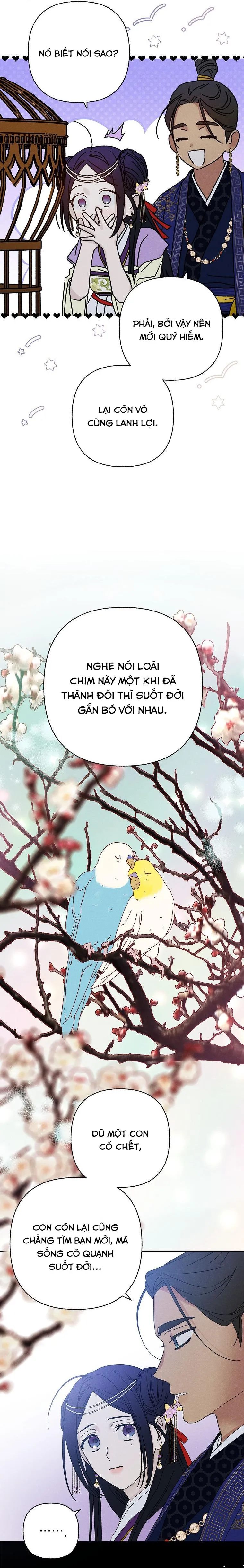 Quốc Hôn - Chap 55 - Trang 15