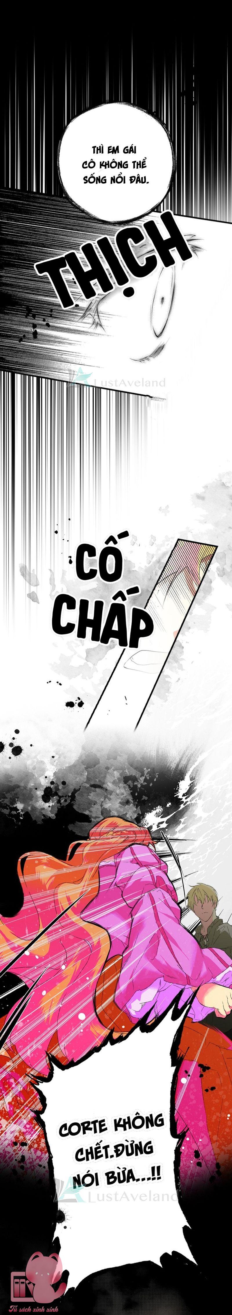 Quý Cô Bí Ẩn - Chap 2 - Trang 24